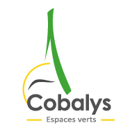 COBALYS