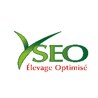 YSEO (logo)